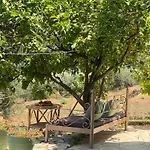 Dinateli - Live Like A Local In Corfu Tatil Evi *
