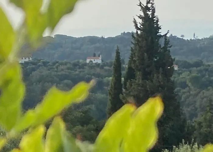Dinateli - Live Like A Local In Corfu Kastellanoi (Agios Georgios (Corfu))