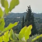 Dinateli - Live Like A Local In Corfu Kastellanoi (Agios Georgios (Corfu))