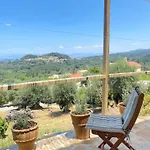 Dinateli - Live Like A Local In Corfu Kastellanoi (Agios Georgios (Corfu))